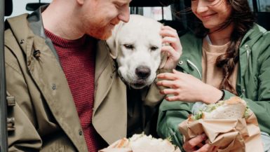man petting a dog beside a woman